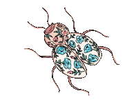 Bug Insect Sticker by zacchissimi