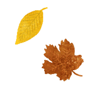 Fall Autumn Sticker by Lara Paulussen