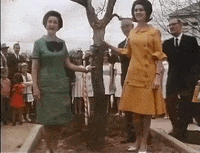 Digging Lady Bird GIF by lbjlibrary