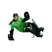 Lotta Rollhockey Sticker by RSC Cronenberg