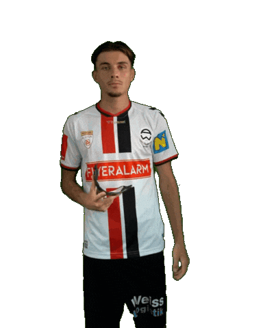 Admira Sticker by KSV1919