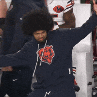 Stank Face Da Bears GIF
