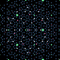 Flower Bloom GIF by Trevor Anderson