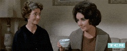 Elizabeth Taylor Old Hollywood GIF by Turner Classic Movies