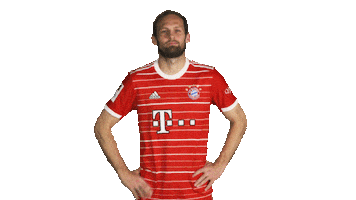 Bayern Sticker by Bundesliga