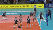 Shall Not Pass Get Ready GIF by Volleyball World