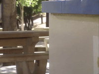 salute your shorts nicksplat GIF