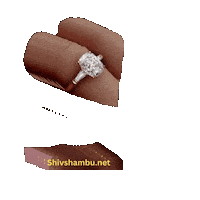Heart Love Sticker by Shiv Shambu