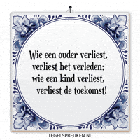 Wijsheid Troost GIF by Tegelspreuken.nl