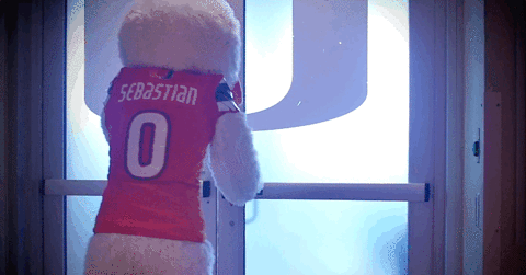 The U Mascot GIF by Miami Hurricanes