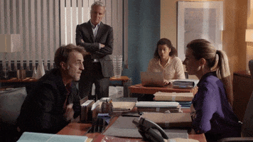 Office Testifying GIF by Un si grand soleil