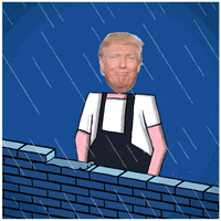 wall GIF