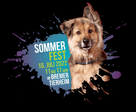 Sommerfest GIF by BremerTierschutzverein