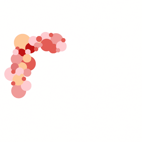 cloudbashco giphyupload GIF