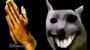 Happy Cat GIF