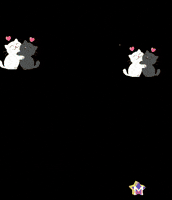 Gatos Depende GIF by Murcianys LLC