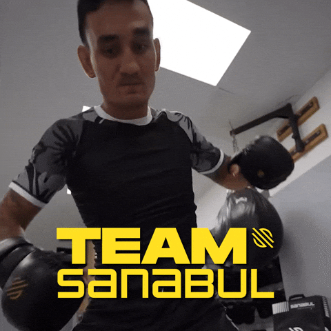 Max Holloway Ufc GIF by Sanabul