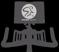 SpinningHQ fitness bike spin spinning GIF