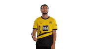 Ramy Bensebaini Football Sticker by Borussia Dortmund