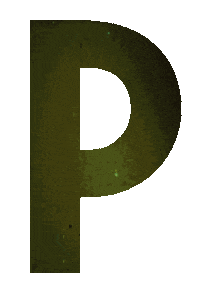 Typography Alphabet Sticker