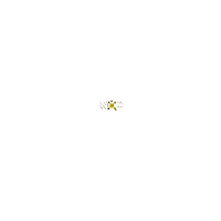 Content Marketing Sticker by WOC