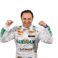 Felipe Massa Stockcar Sticker by Stock Car Brasil