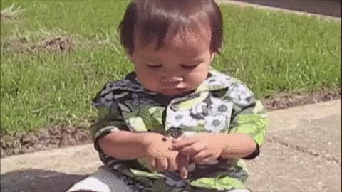 baby eating GIF by America's Funniest Home Videos