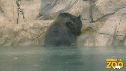 Tired Get Up GIF by Brookfield Zoo