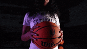 Tommiewbb GIF by Tommie Athletics