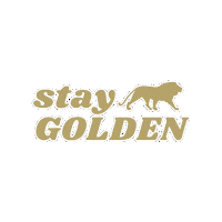 Lions Missouri Sticker by Lindenwood University