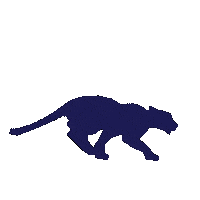 Panthers Sticker by F45 TRAINING KARALEEE