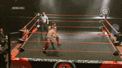 GIF by CNL Chile
