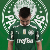 Palmeiras soccer look futebol mustache GIF