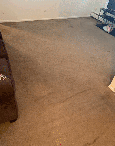 summitcarpetcarepa giphygifmaker summit carpet floor care GIF