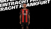 Bundesliga Sge GIF by Eintracht Frankfurt