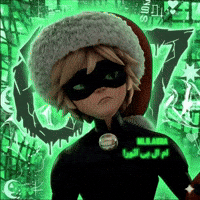 Ladybug Catnoir GIF