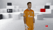 Posing Line Up GIF by Bundesliga