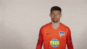 Hertha Berlin What GIF by Hertha BSC
