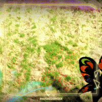 Butterfly GIF by The Masked Singer UK