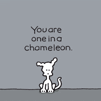 I Love You Dogs GIF by Chippy the Dog