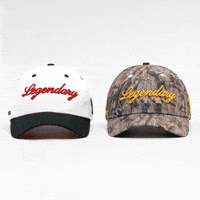 Head Hat GIF by VeeFriends