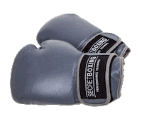 Fashion Fitness Sticker by SecretBoxing