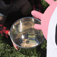 jpbgvan money cashcow cash cow jrcountry GIF