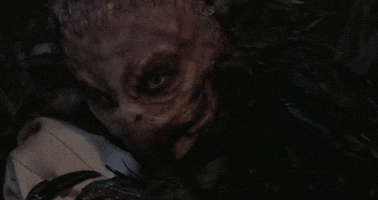 Halloween Bird GIF by Crypt TV
