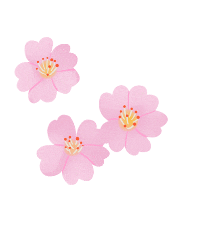 Cherry Blossom Love Sticker by Lara Paulussen