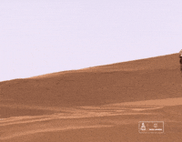 Racing Rally GIF by Amaury Sport Organisation