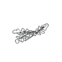 UCOOK ucook shareandwin Sticker
