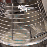 GIF by Biscuit Belly