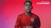 Republic Fc Football GIF by Sacramento Republic FC