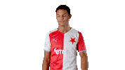 Football Soccer Sticker by SK Slavia Praha